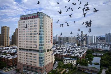 微信图片_20180505225445_副本