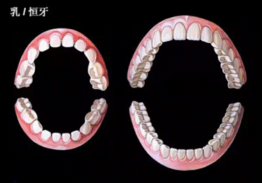 7871903411529328155226.png