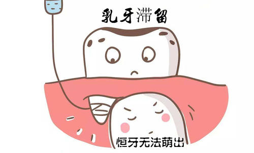 u=2673002841,2524443583&fm=26&gp=0.jpg