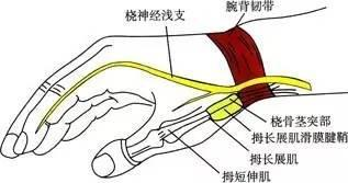 微信图片_20220518215012