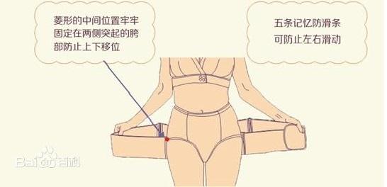 骨盆带3