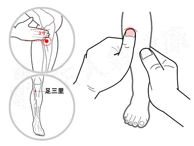 按足三里