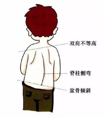 图片 28