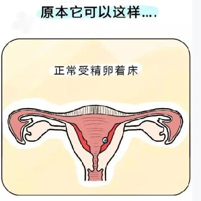 d425e6443198b0ccfb6d180a6317be37