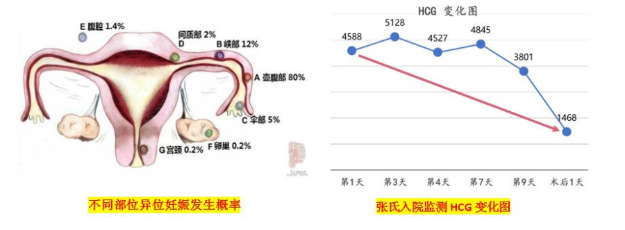 图片 1