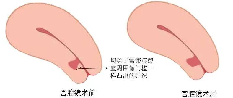 C:\Users\75590\Desktop\微信图片_20240621232748.jpg