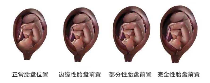 微信图片_20240906194710
