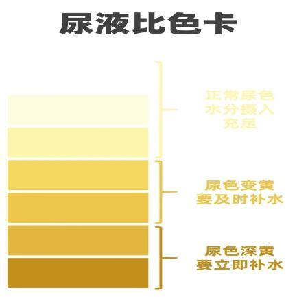 937cafac1ff49c4cfed935f8e6cfe9d