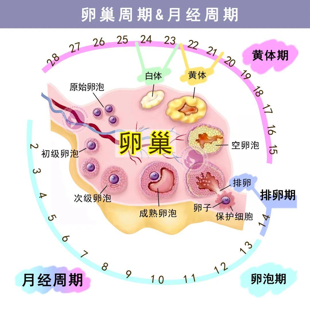 微信图片_20250409032648